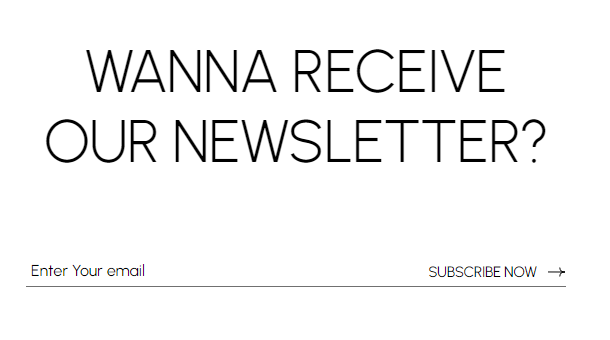 Email Newsletter subscription form